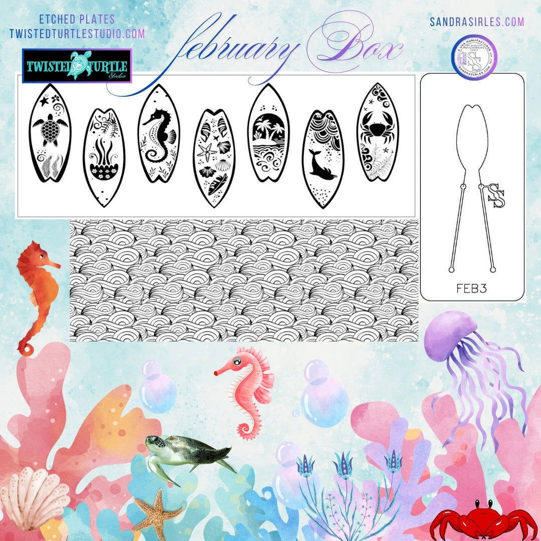 FEBRUARY 2026 BOX – OCEAN ENERGY & COASTAL VIBES