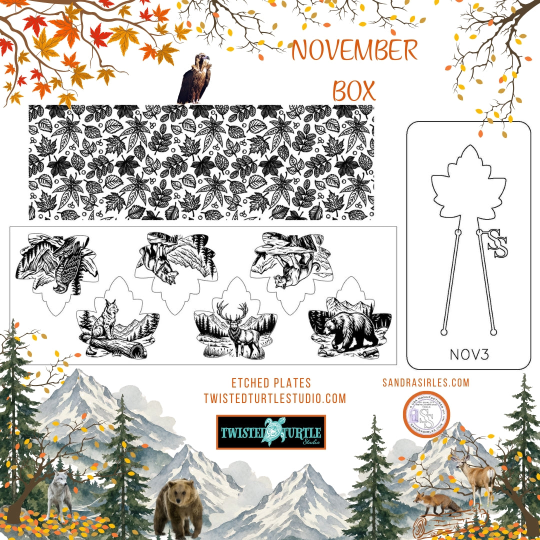 NOVEMBER 2026 BOX – WILDERNESS TRAILS & FALL FORESTS