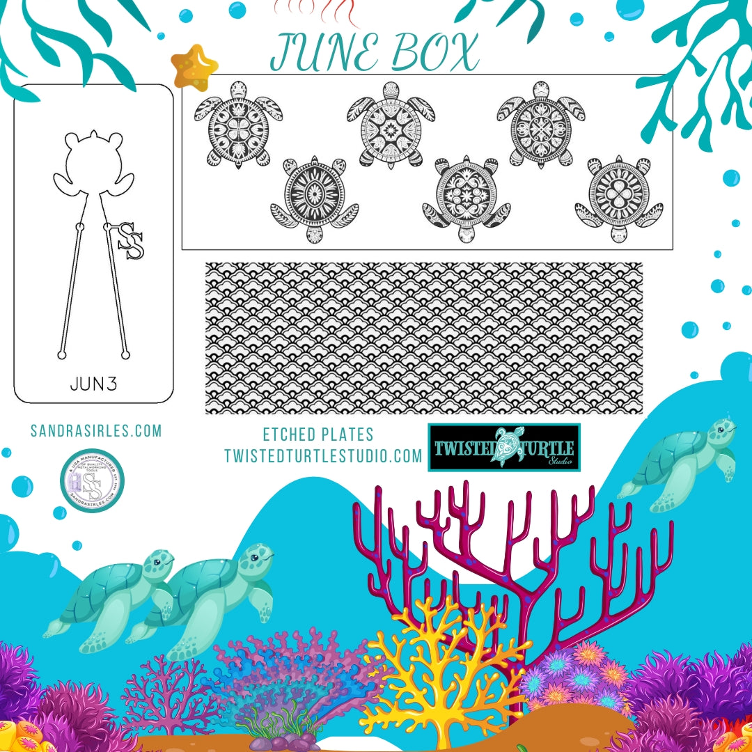 JUNE 2026 BOX – SACRED SEA TURTLES & OCEAN WISDOM